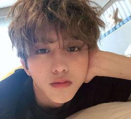 爆料娱乐圈贺峻霖是谁,贺峻霖是谁？揭秘神秘新星背后的故事